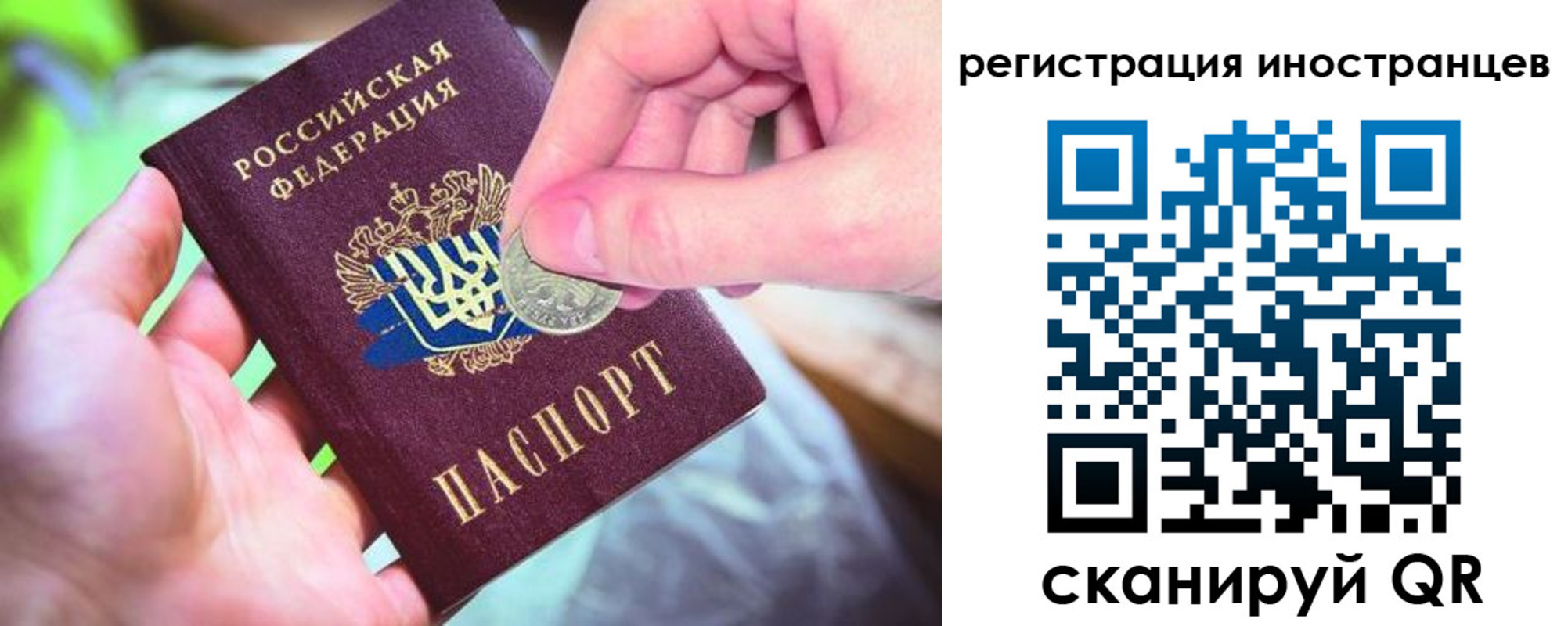 прописка для работы в Кингисеппе